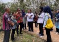 Terjun Kelapangan, OKUT Dinilai Layak KKS
