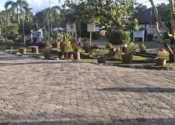 Dihiasi Taman Bunga, Kantor Dinkes Indah Dipandang Mata
